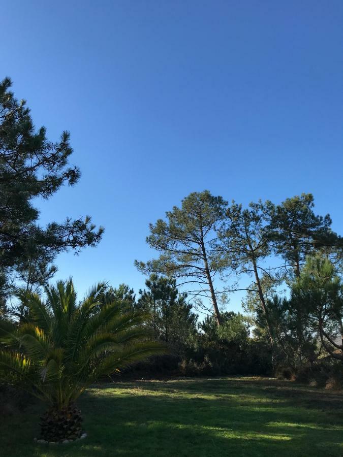 Maison architecte Bois du Kador à Morgat  Crozon Extérieur photo